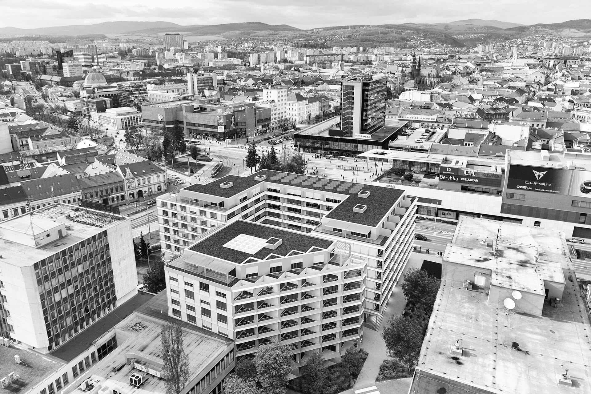 D5_Image_20230405_122421cb
